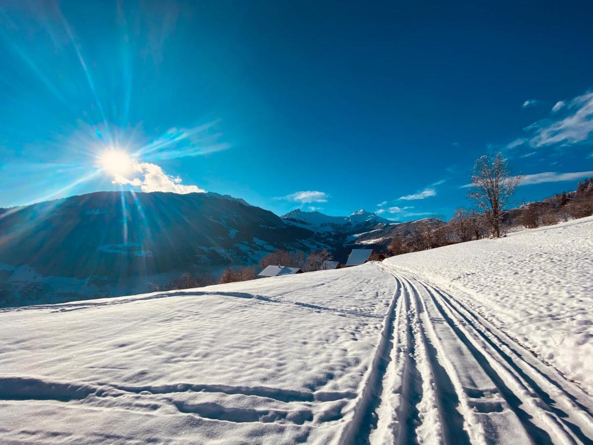 Chalet Confidentiel Valmorel - Chalet De Haut De Gamme 4 Etoiles 12 Personnes Doucy المظهر الخارجي الصورة