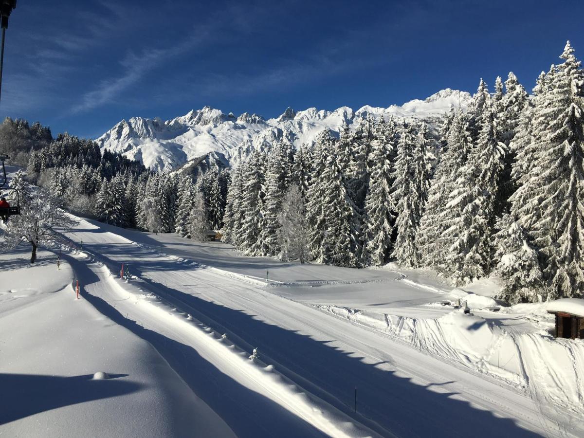 Chalet Confidentiel Valmorel - Chalet De Haut De Gamme 4 Etoiles 12 Personnes Doucy المظهر الخارجي الصورة