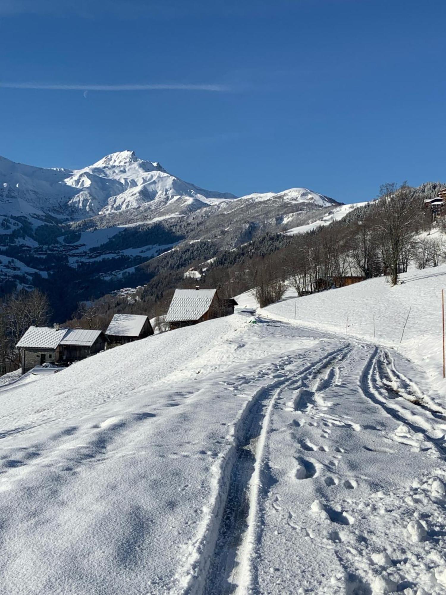 Chalet Confidentiel Valmorel - Chalet De Haut De Gamme 4 Etoiles 12 Personnes Doucy المظهر الخارجي الصورة