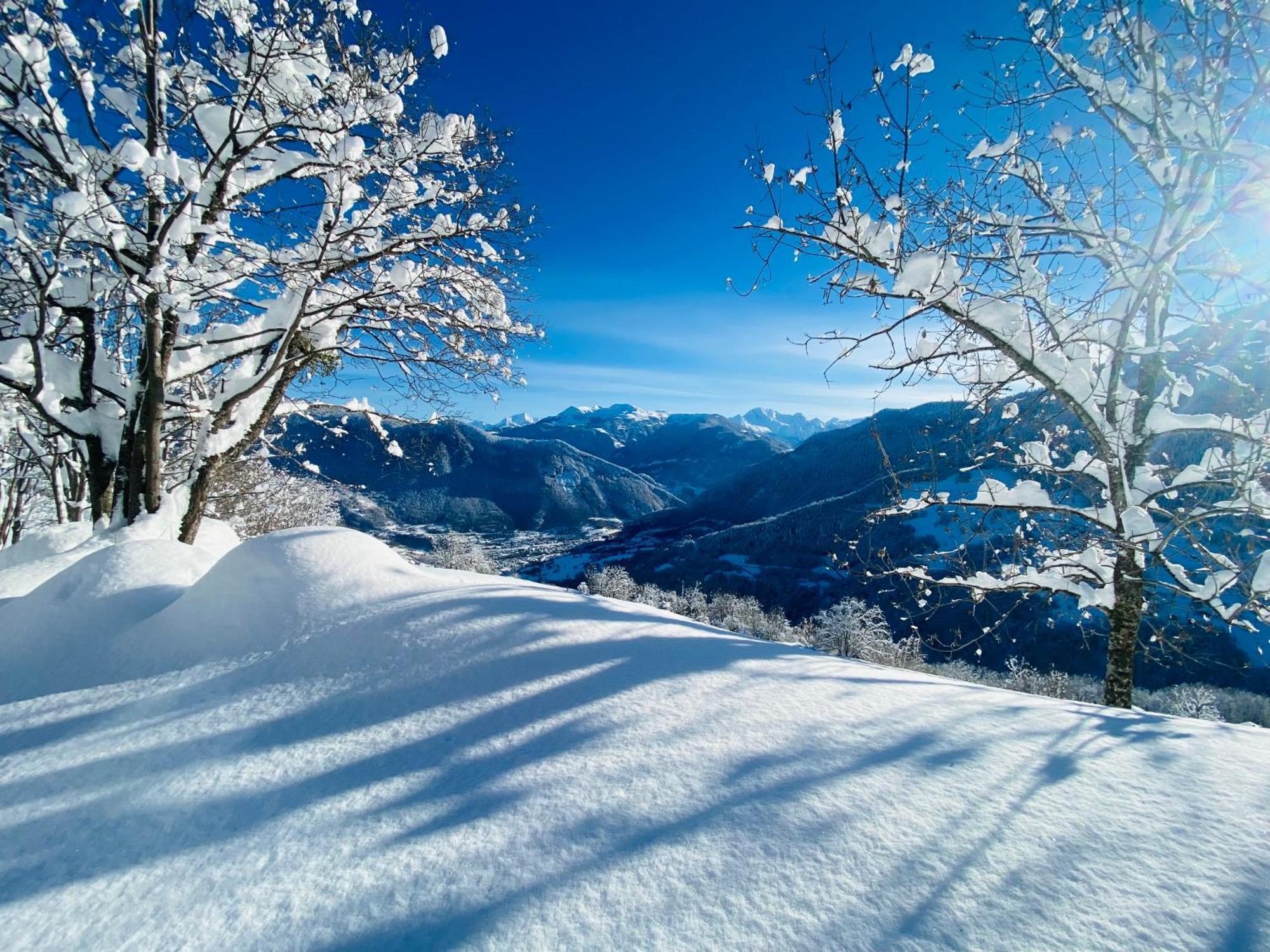 Chalet Confidentiel Valmorel - Chalet De Haut De Gamme 4 Etoiles 12 Personnes Doucy المظهر الخارجي الصورة